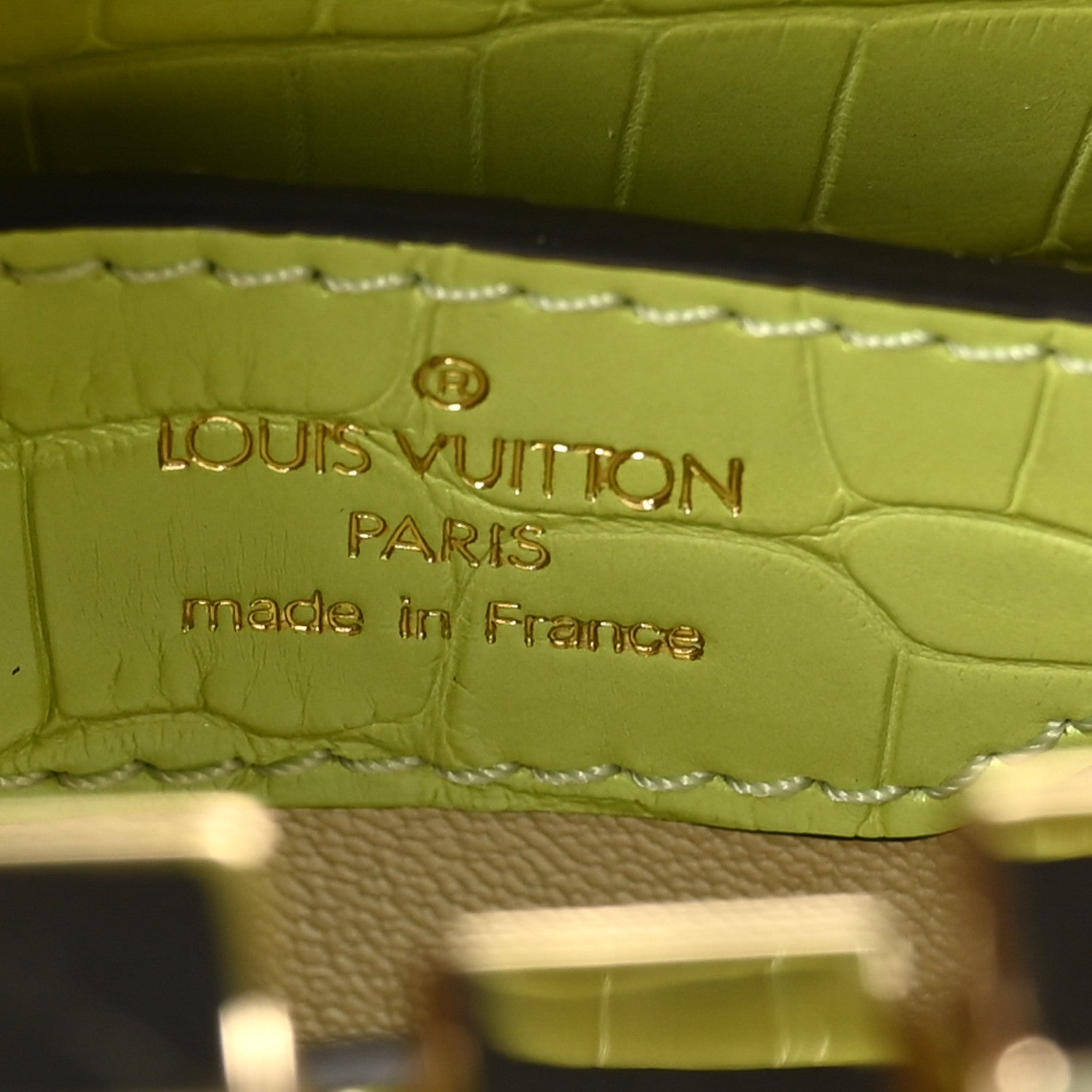 Iridescent Alligator Nano Capucines Lime